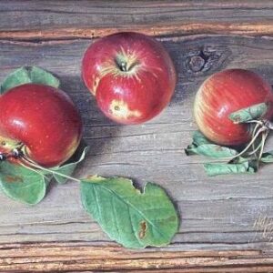 Umetnička slika Jabuke slikar Jovica Tomašević, tehnika slikanja ulje na platnu kaširano na šper – format slike bez rama 28×40 cm, format slike sa ramom 46×58 cm – cena umetničke slike 27.140 dinara – izgled slike bez rama