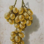 Umetnicka slika Beli grozd slikar Miljan Vasiljevic - tehnika ulje na platnu kaširano na lesonitu - format slike sa ramom 46x36 cm - bez rama 32x22 cm - Cena umetničke slike 47200 dinara - izgled slike bez rama Umetnicka slika Beli grozd slikar Miljan Vasiljevic - tehnika ulje na platnu kaširano na lesonitu - format slike sa ramom 46x36 cm - bez rama 32x22 cm - Cena umetničke slike 47200 dinara - izgled slike bez rama