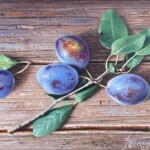 Umetnička slika Na dasci II slikar Jovica Tomašević - tehnika ulje na platnu kaširano na šperu - format slike sa ramom 42x52 cm - bez rama 22x32 cm - Cena umetničke slike 27140 dinara - izgled slike bez rama Umetnička slika Na dasci II slikar Jovica Tomašević - tehnika ulje na platnu kaširano na šperu - format slike sa ramom 42x52 cm - bez rama 22x32 cm - Cena umetničke slike 27140 dinara - izgled slike bez rama